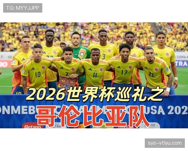 2026世界杯哪些球队晋级希望超过80%